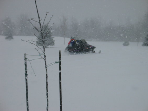 Snowmobile moving through snow with trees in background