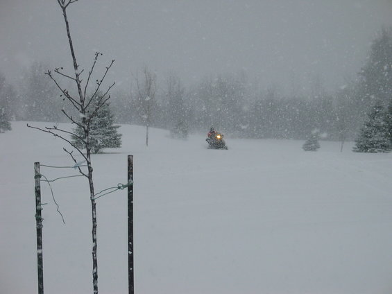 Snowmobile with headlight on driving through a snowy field with trees in the background