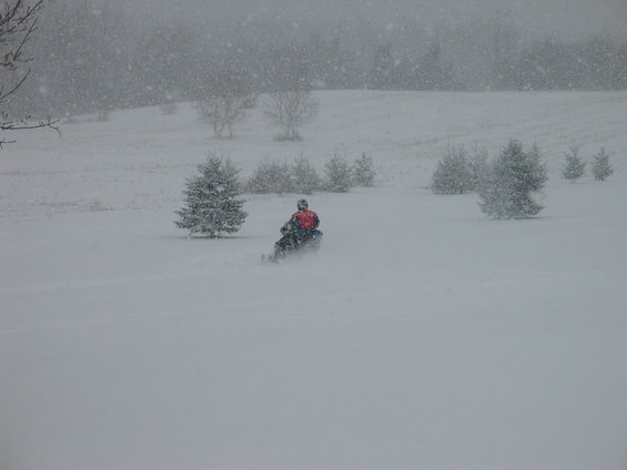 Snowmobile rider in a snowy field with trees and falling snow