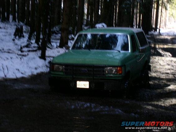 kelly.jpg Kellys Bronco