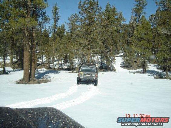 SUV driving on a snowy road between pine trees. Another vehicle is partially visible in the foreground