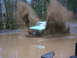 1990 Ford Bronco - A green 1990 Ford Bronco powers through a muddy puddle, sending water and dirt flying.