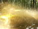 1990 Ford Bronco - A vehicle splashes through water in a wooded area, creating a large spray.