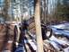 1974 Ford Bronco - An off-road vehicle is tilted precariously in a snowy wooded area, with large tires and a roll cage visible.