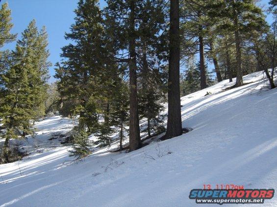 snowy hillside with trees and blue sky. Watermark says 13 11:07PM SUPERMOTORS www.supermotors.net