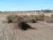 DSCF0083.JPG