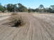 DSCF0084.JPG