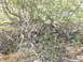 DSCF0087.JPG