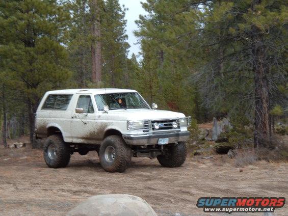 White Ford Bronco with lifted suspension and off-road tires parked on a dirt road in a wooded area