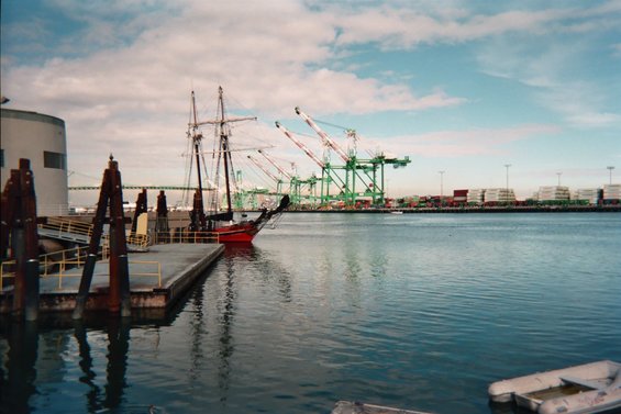 001_2a.jpg These are from San Pedro