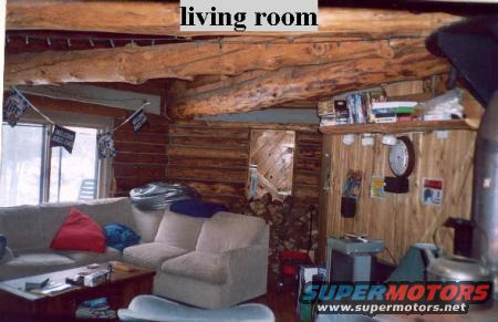 Log cabin interior with couch, chairs, coffee table, wood stove, and shelves of books