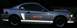 2003 Ford Mustang - Night Fire Pony