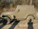 The Jeep after a little mud