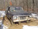 1979 Ford Bronco - This 1979 Ford Bronco is stuck in a muddy, wooded area with snow on the ground.