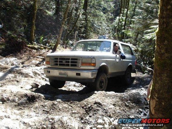 White Ford Bronco with a man driving, navigating a rough forest path