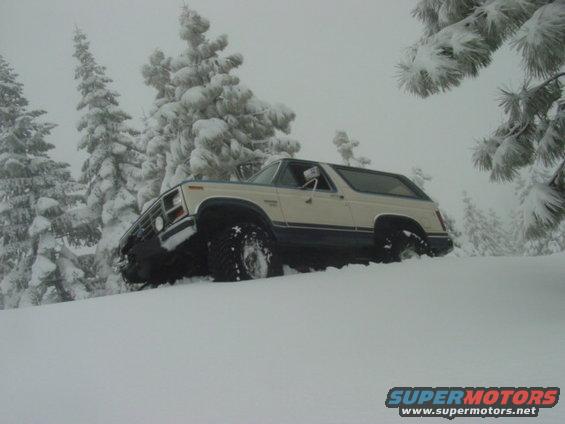 Ford Bronco stuck in deep snow, trees covered in snow all around