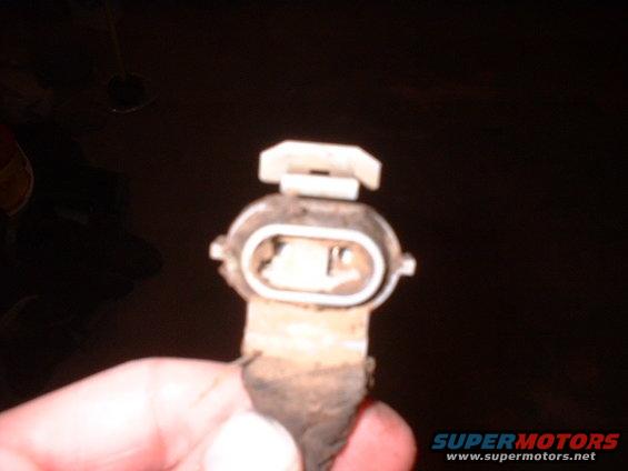 fuel-sending-unit-connector-2.jpg 