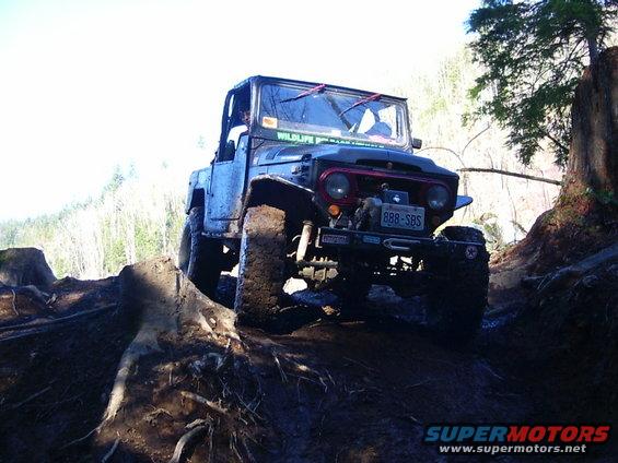 Off-roading Toyota Land Cruiser FJ40 on a muddy trail with large roots