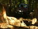 1990 Ford Bronco - A red Jeep tackles a challenging off-road course through a dense forest.