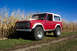1975 Ford Bronco - A red 1975 Ford Bronco sits in a grassy field with a corn crop under a clear blue sky.