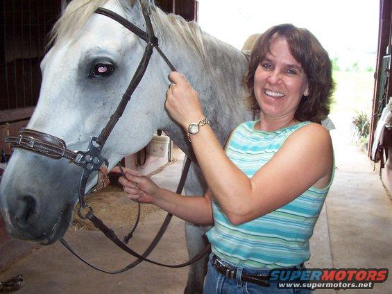 Woman adjusting bridle on a white horse in a stable