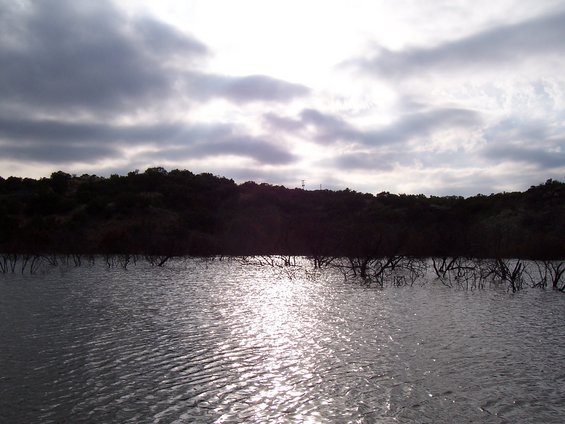 Water with reflections of sunlight, silhouetted trees, and a cloudy sky