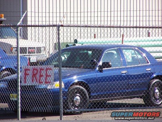 Darn liars, they aint free!