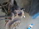 mas_brakes3.JPG