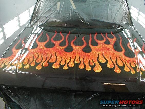 $2000.00 DOLLARS IN PAINT LATER