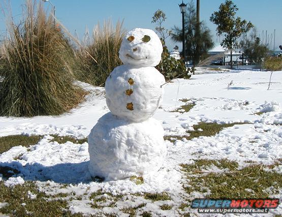cc-snow2-042.jpg built a snowman-- 6 FEET tall
in some random park on Ocean Drive