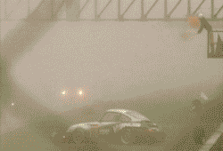 Car with racing decals, seen from the rear in foggy conditions