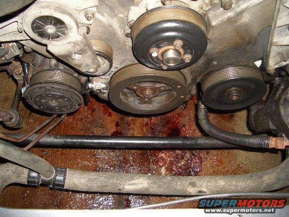 Engine bay with pulleys, hoses, and fluid leak