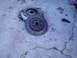 1986 Toyota Pickup/SR5 - this is the old clutch and pressure plate. smoked
