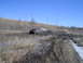 1981 Ford Bronco - This 1981 Ford Bronco is shown off-roading through a challenging muddy terrain.