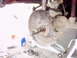1978 Ford Bronco - Vehicle brake rotor and hub assembly, likely undergoing maintenance or repair.