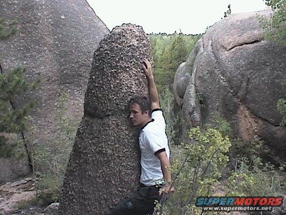 Razzy's Senior Picture