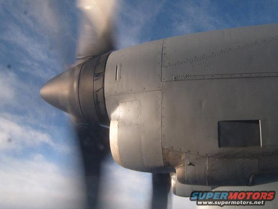 picture-139.jpg 