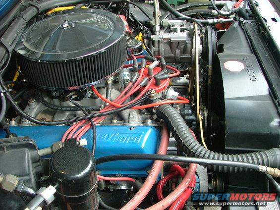 Engine bay with blue Ford valve covers and chrome air cleaner
