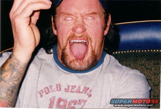 The Undertaker