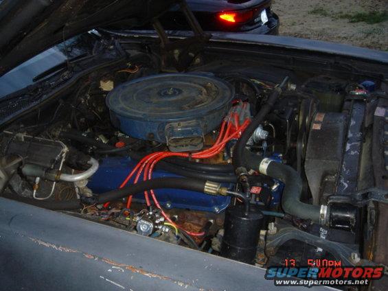 Engine bay with blue air cleaner housing and red spark plug wires