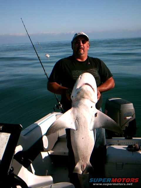 Man holding a shark on a boat with fishing rod and outboard motor