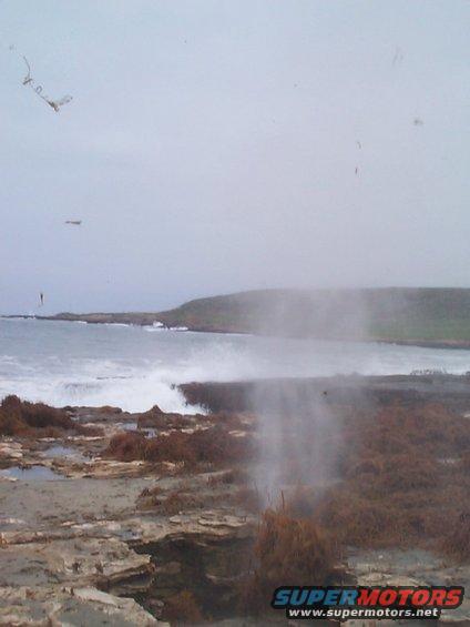 Blowhole