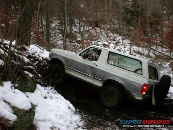 bronco1-(2).jpg 