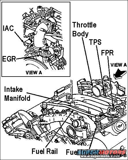 intake-components-4.6l.jpg Intake Components