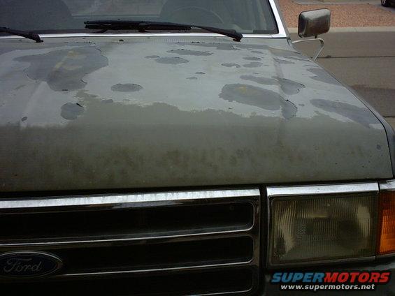Ford Bronco hood with peeling paint and a Ford emblem on the grille