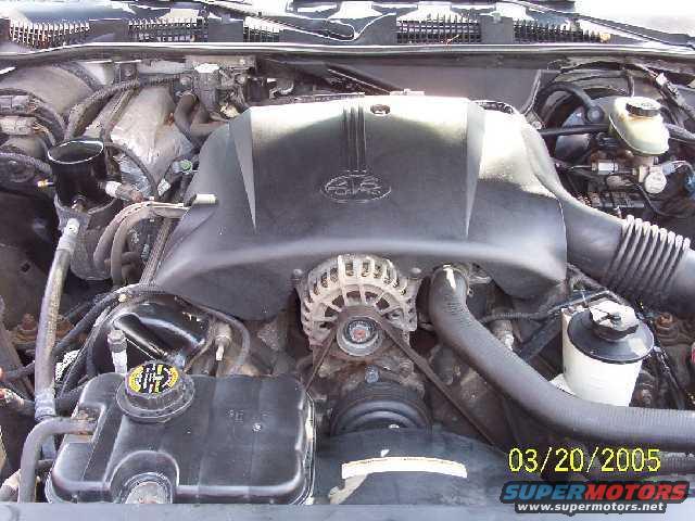 Engine bay with black plastic covers, hoses, and a radiator cap. Date stamp 03/20/2005