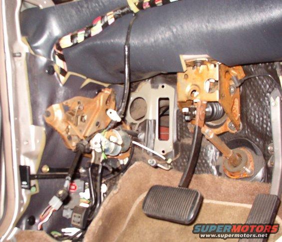 m06.jpg Just a reference shot.