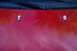 1993 Ford Probe