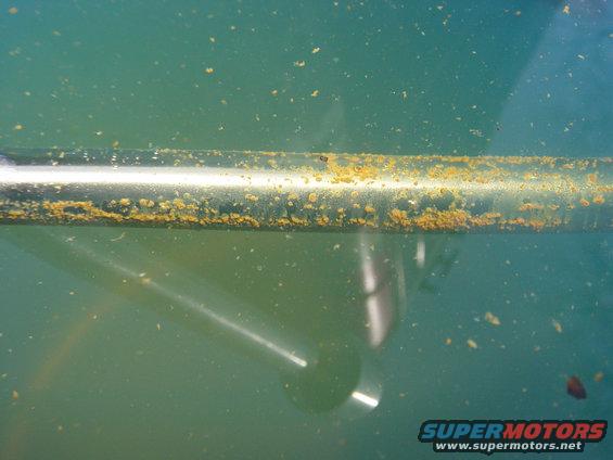 rusted metal pipe submerged in murky water with debris floating around