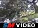 1998 Jeep TJ - Bert taking on the steps in 2wd